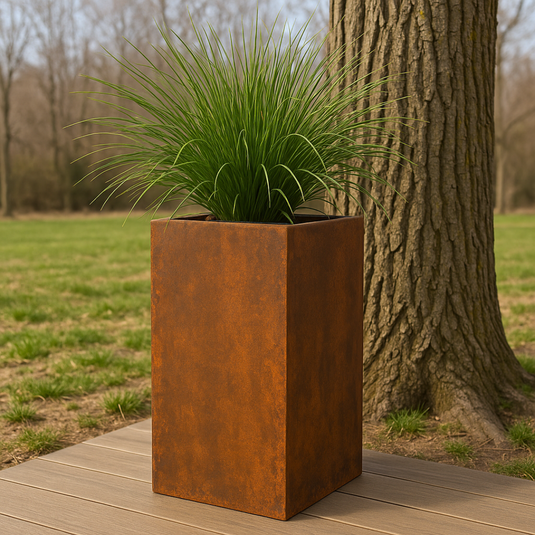 Išskirtinis dėmesys terasai