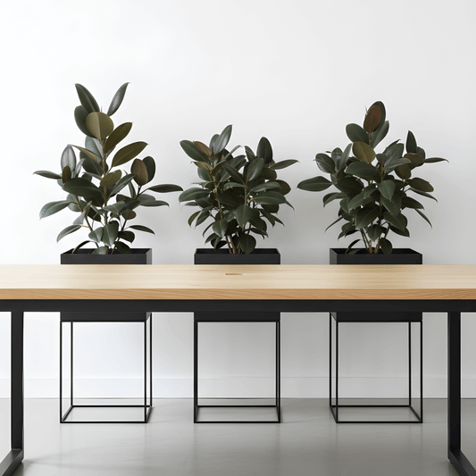 Kubo formos metaliniai vazonai