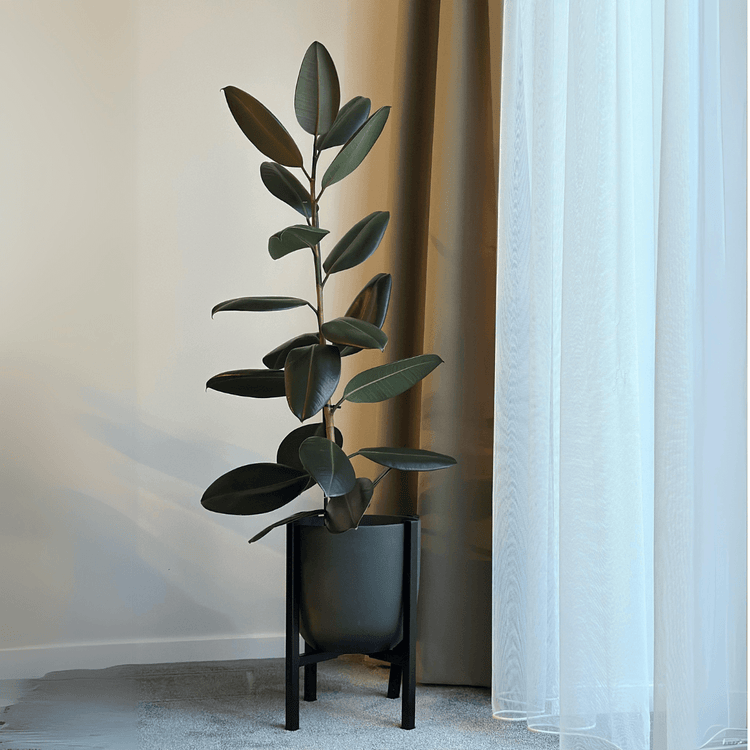 Vazonų stovas GELA | Steelart