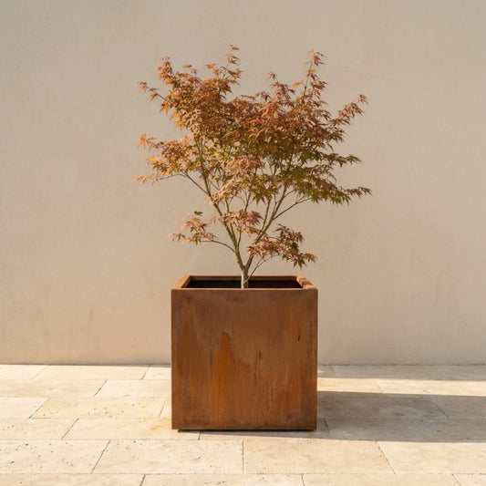 Steelart CUBE kubo formos metalinis lauko vazonas natūralios plieno spalvos, akmeninis kiemas