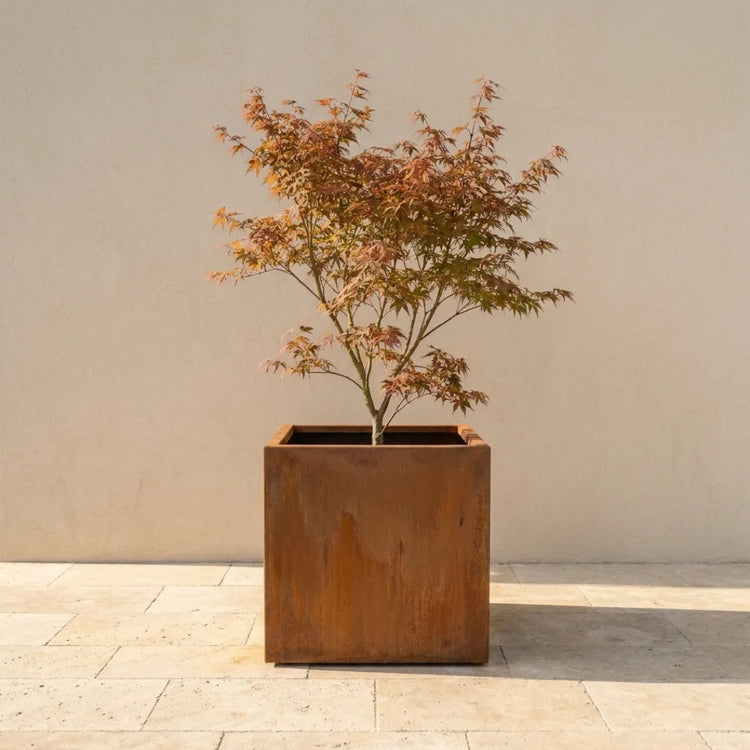 Steelart CUBE kubo formos metalinis lauko vazonas natūralios plieno spalvos, akmeninis kiemas