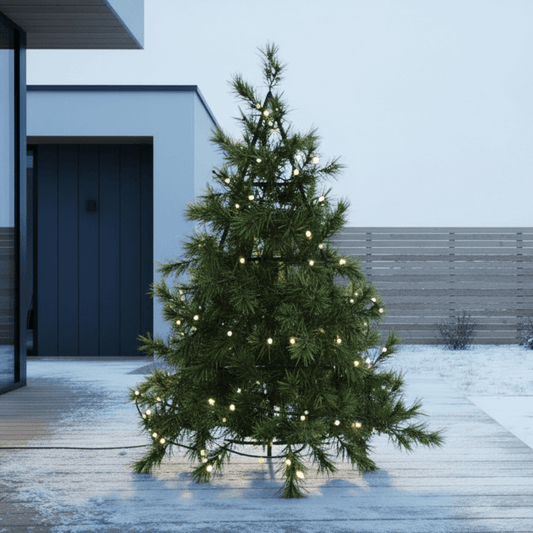 Eglutės rėmas su natūraliomis šakomis