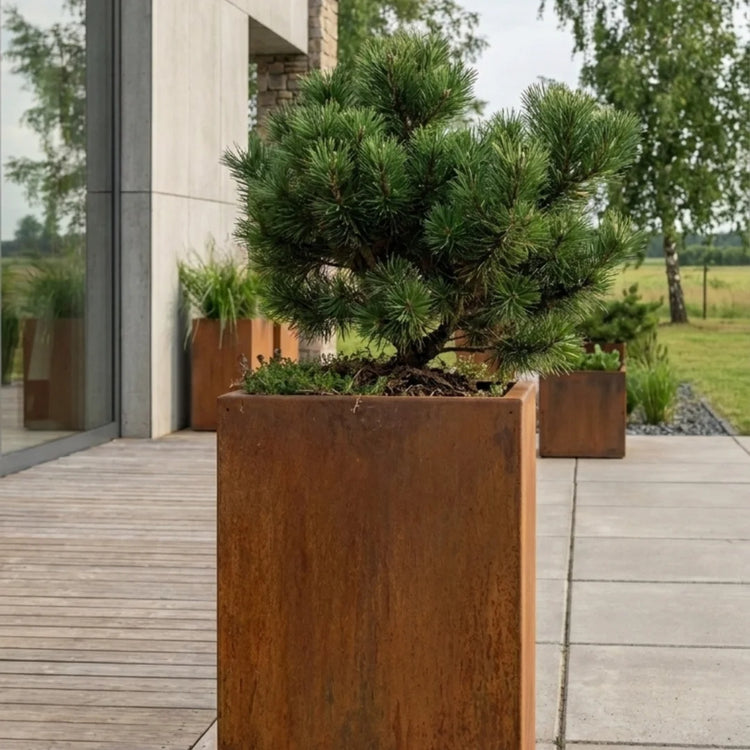 Steelart STAND stačiakampis aukštas metalinis lauko vazonas natūralios plieno spalvos sodybos terasoje

